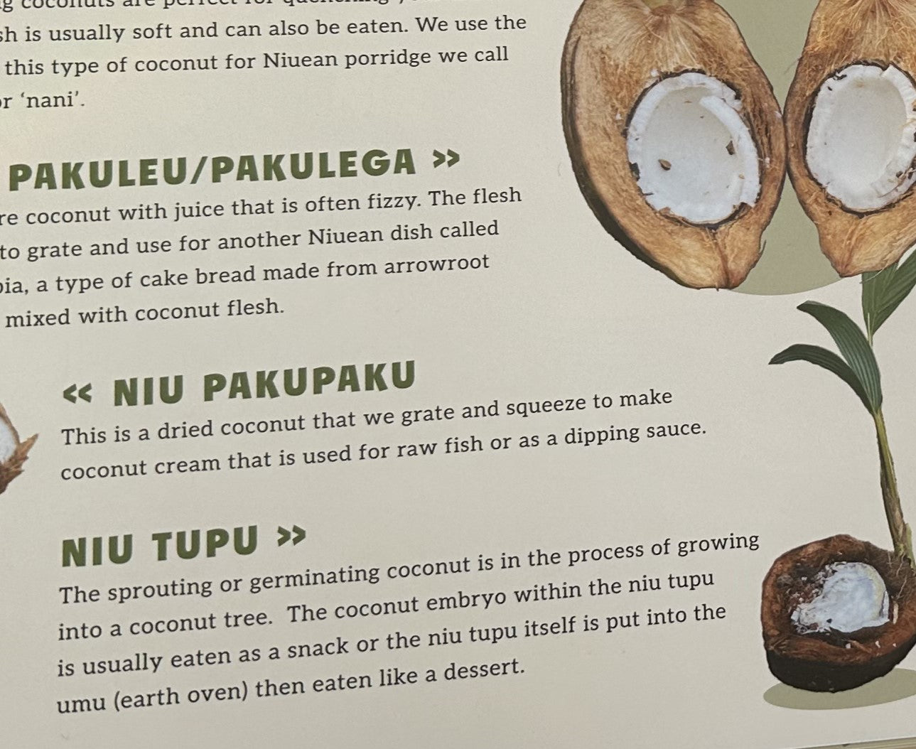 Hunt for Niu Tupu